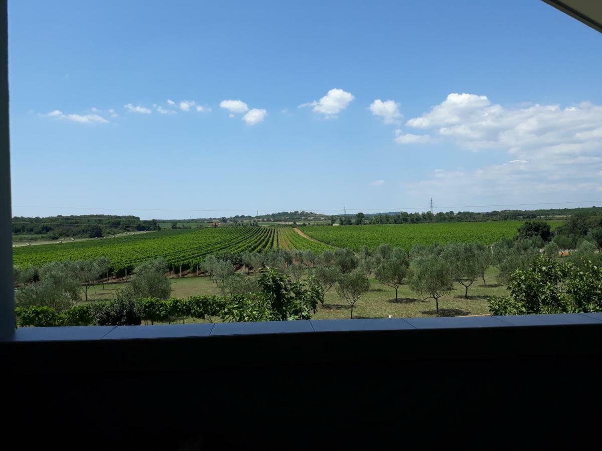 Apartma Solmar Medulin Zewnętrze zdjęcie